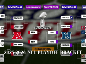 2023-2024 NFL Playoff Bracket