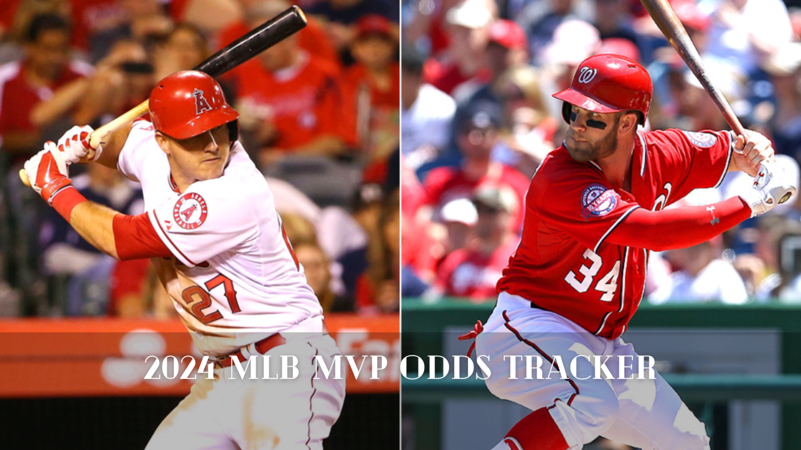 2024 MLB MVP Odds Tracker