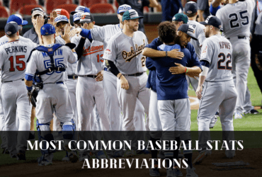 Most Common Baseball Stats Abbreviations